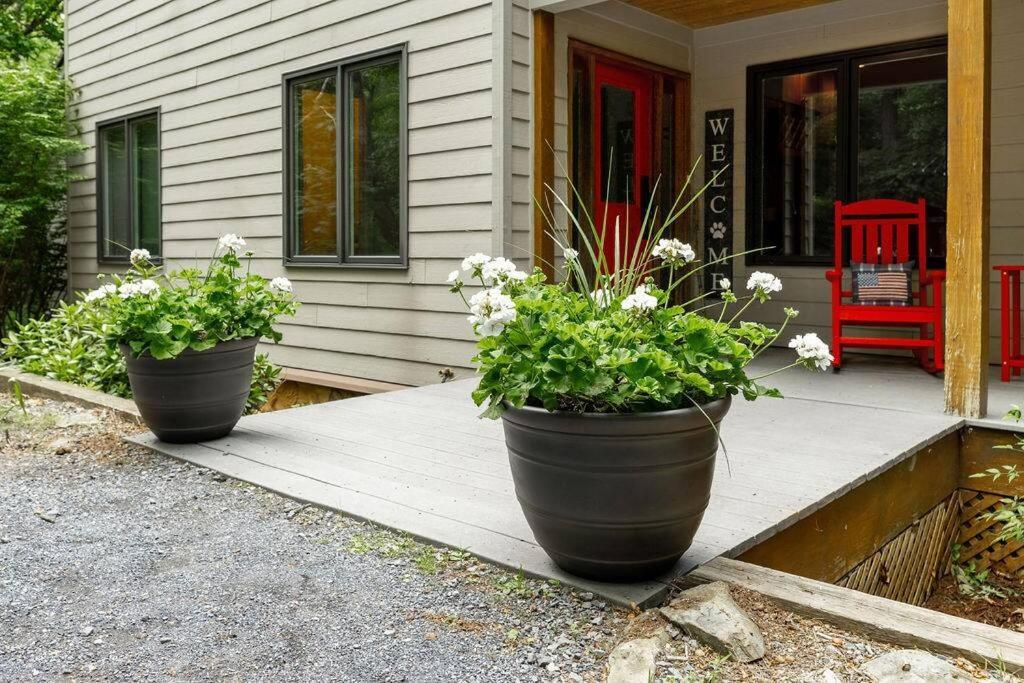 Bluebird Mountain Home Mount Torry Furnace Esterno foto