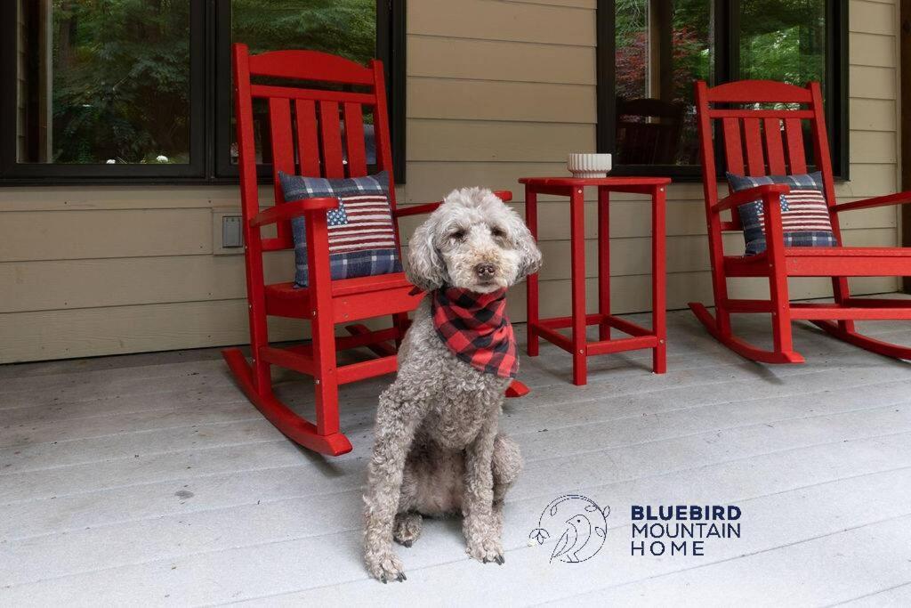 Bluebird Mountain Home Mount Torry Furnace Esterno foto